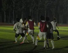 开云登录入口-球队在关键时刻展现出决心与毅力()  第2张